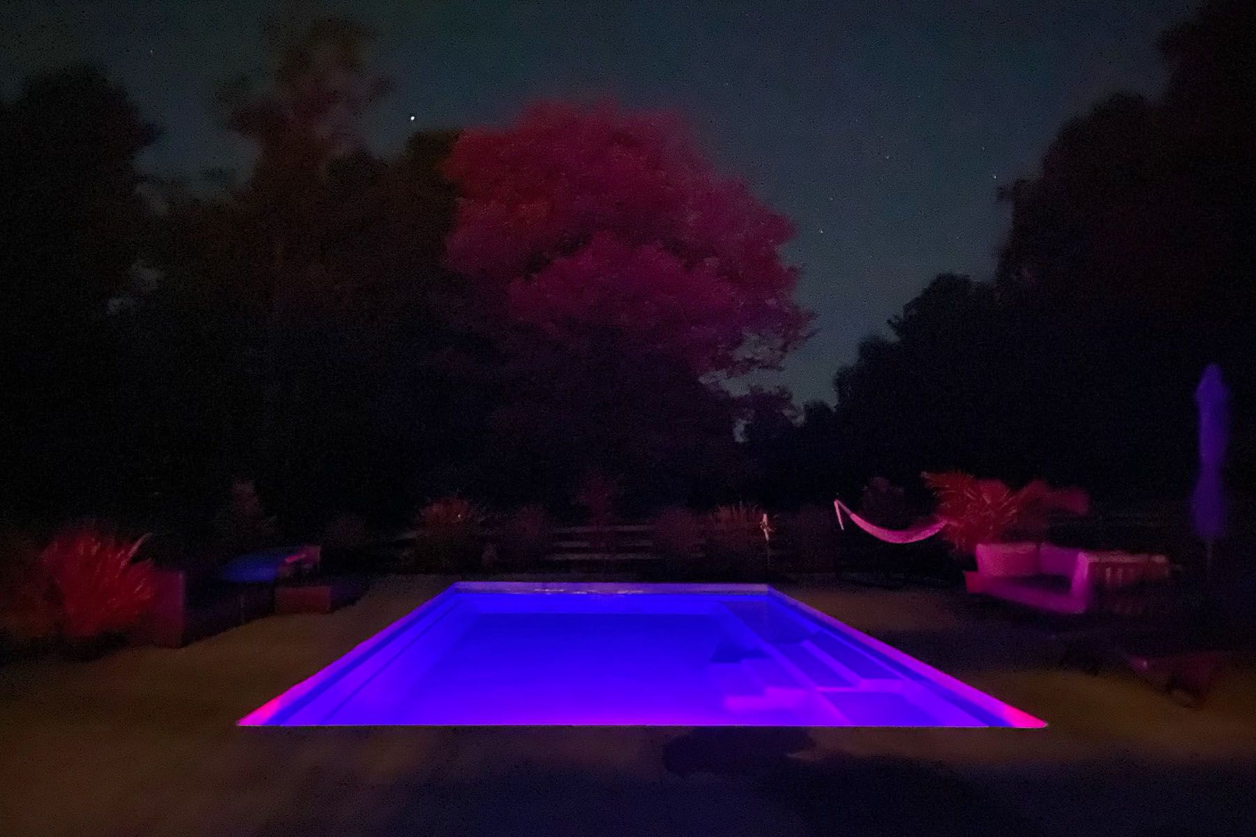 Rectangular in-ground fiberglass swimming pool in a nicely landscaped backyard in Prospect, Kentucky at night with dramatic pink and blue lighting.
