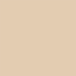 Swatch for the Tan Coverstar Automatic Pool Cover Color Option